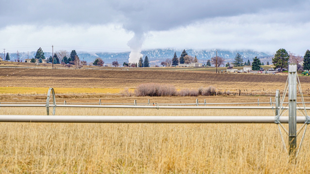 Photo of Others in Dairy