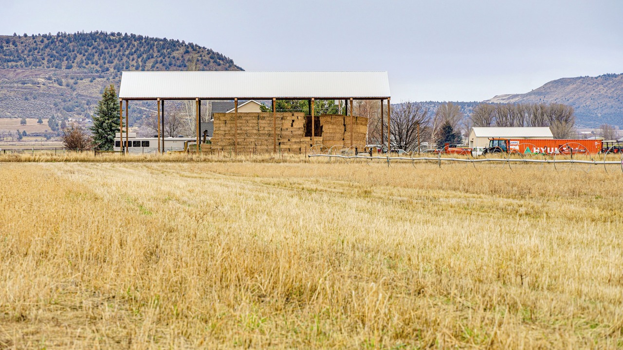 Photo of Others in Dairy