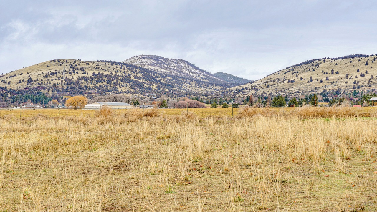 Photo of Others in Dairy