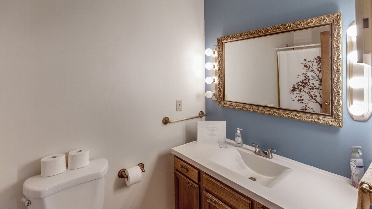 Photo of Bathroom in Pillager