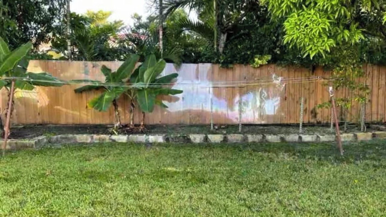 Photo of Outdoor in North Miami