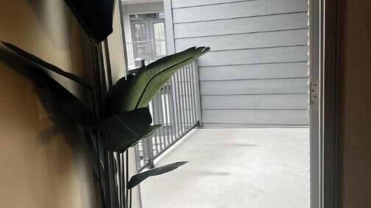 Photo of Others in Lindbergh