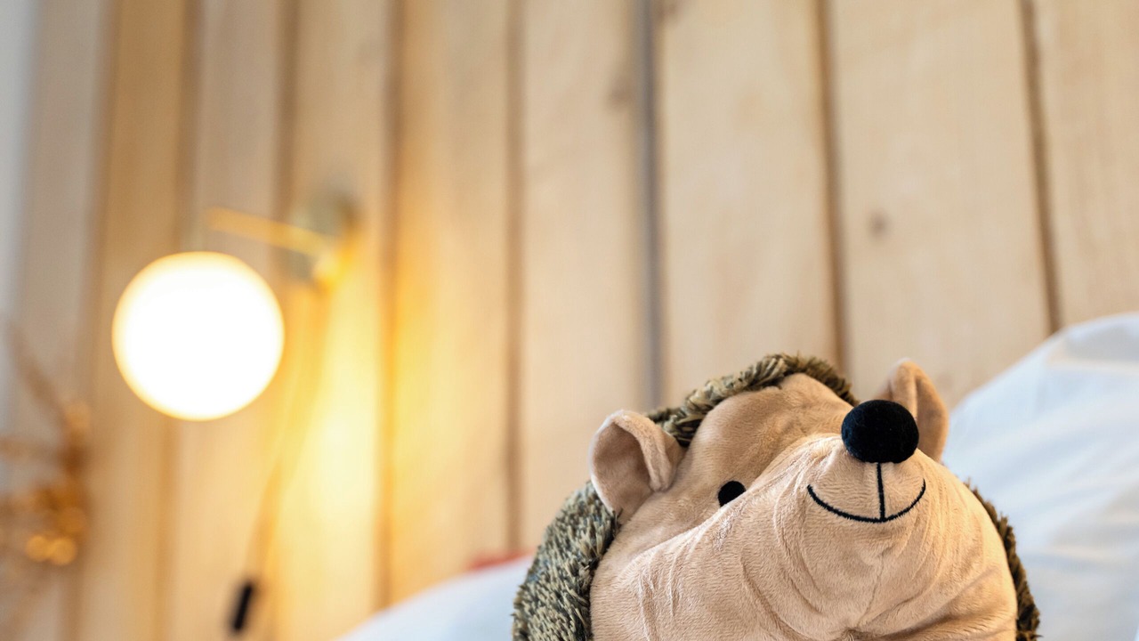 Photo of Bedroom in Mauron