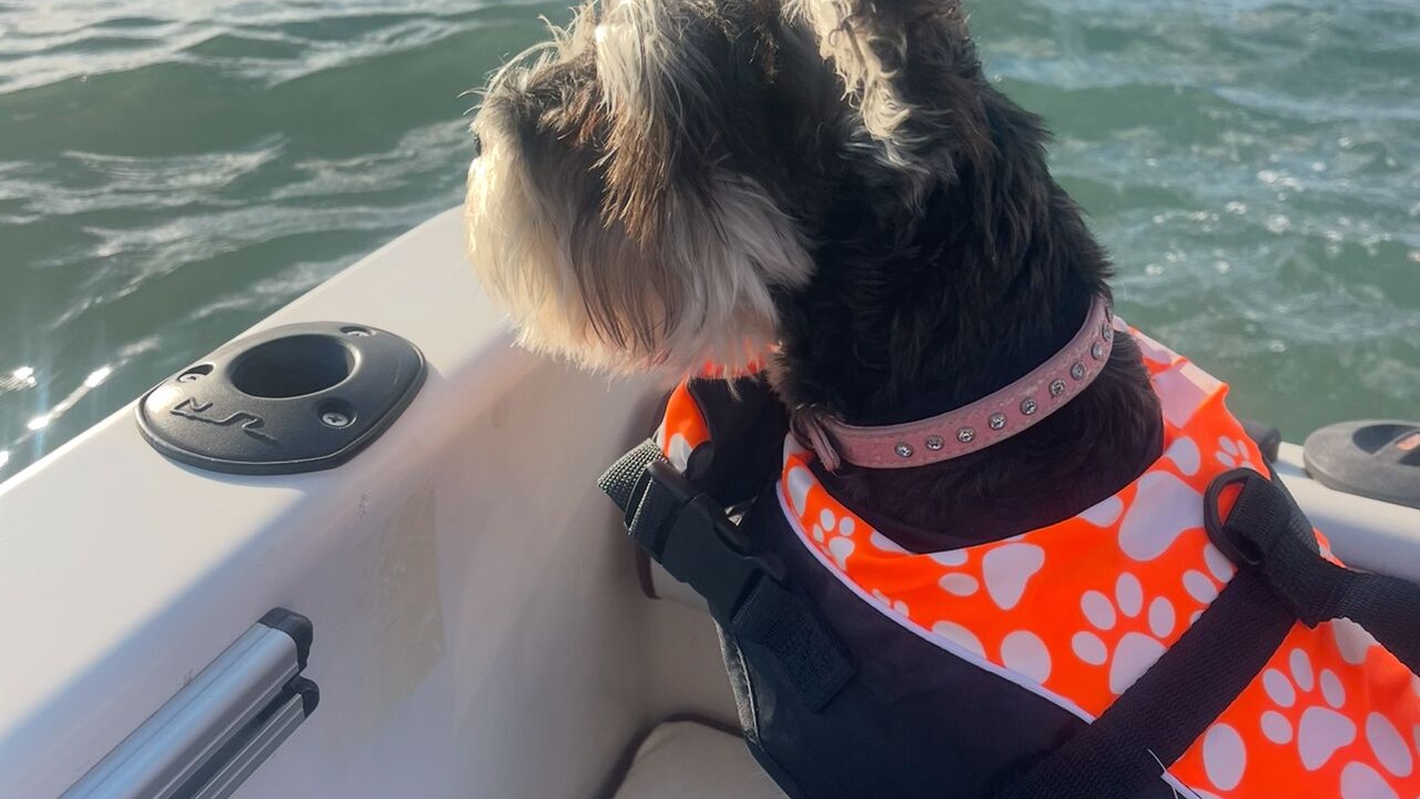 Photo of Others in Army Bay