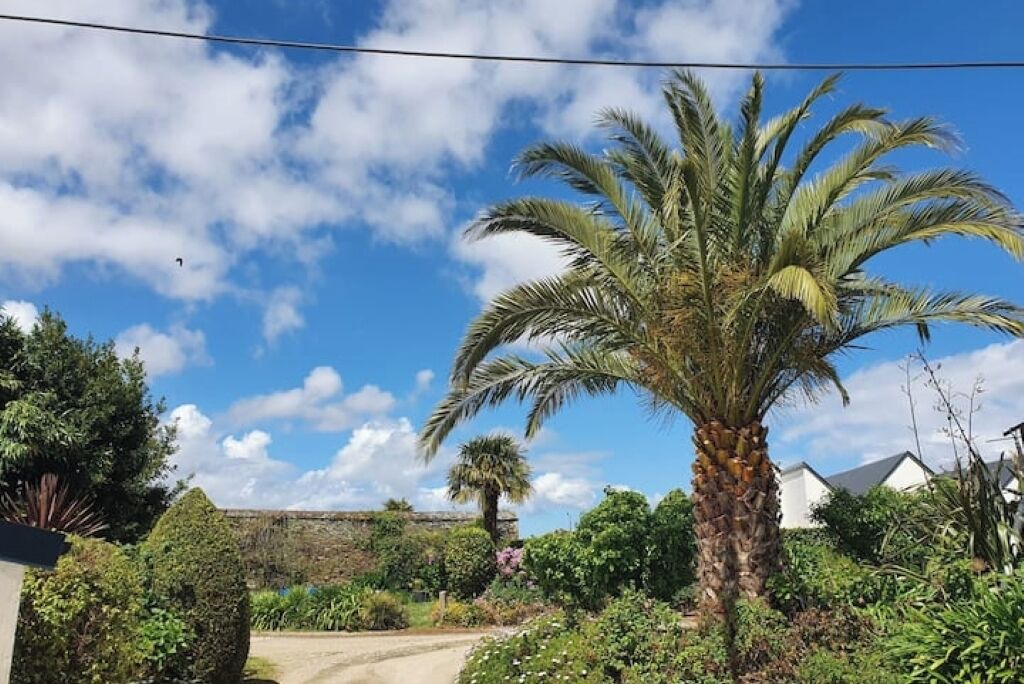 Photo of Outdoor in Henvic