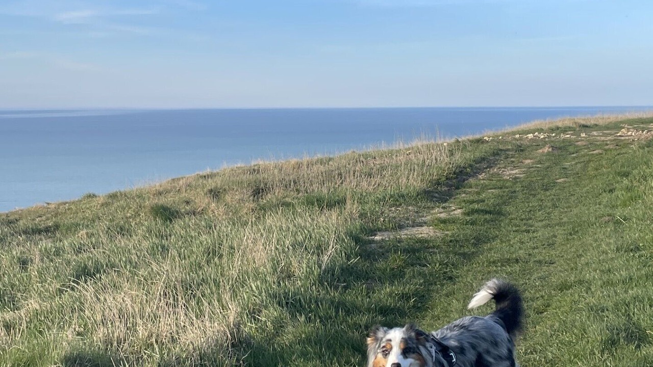 Photo of Others in Biville-sur-Mer