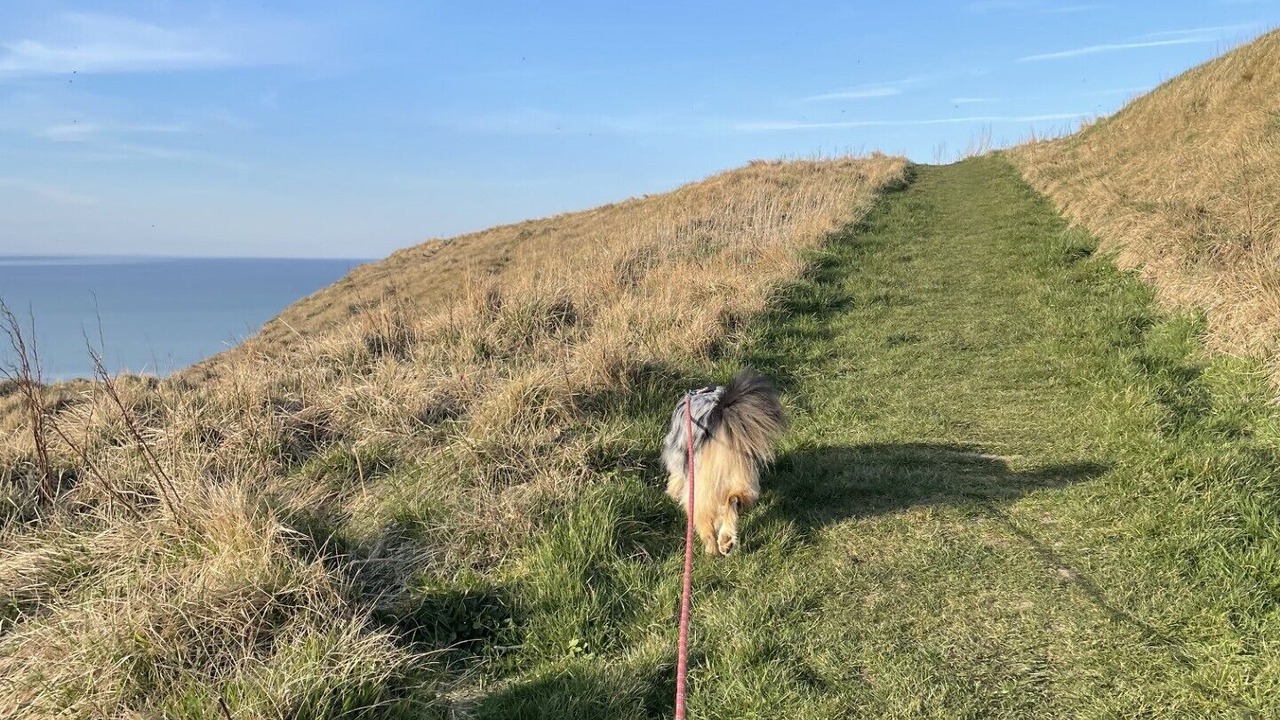 Photo of Others in Biville-sur-Mer