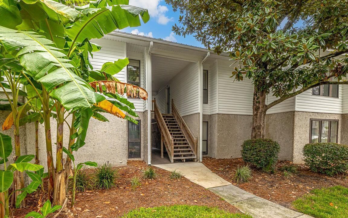 Photo of Outdoor in Saint Simons Heights