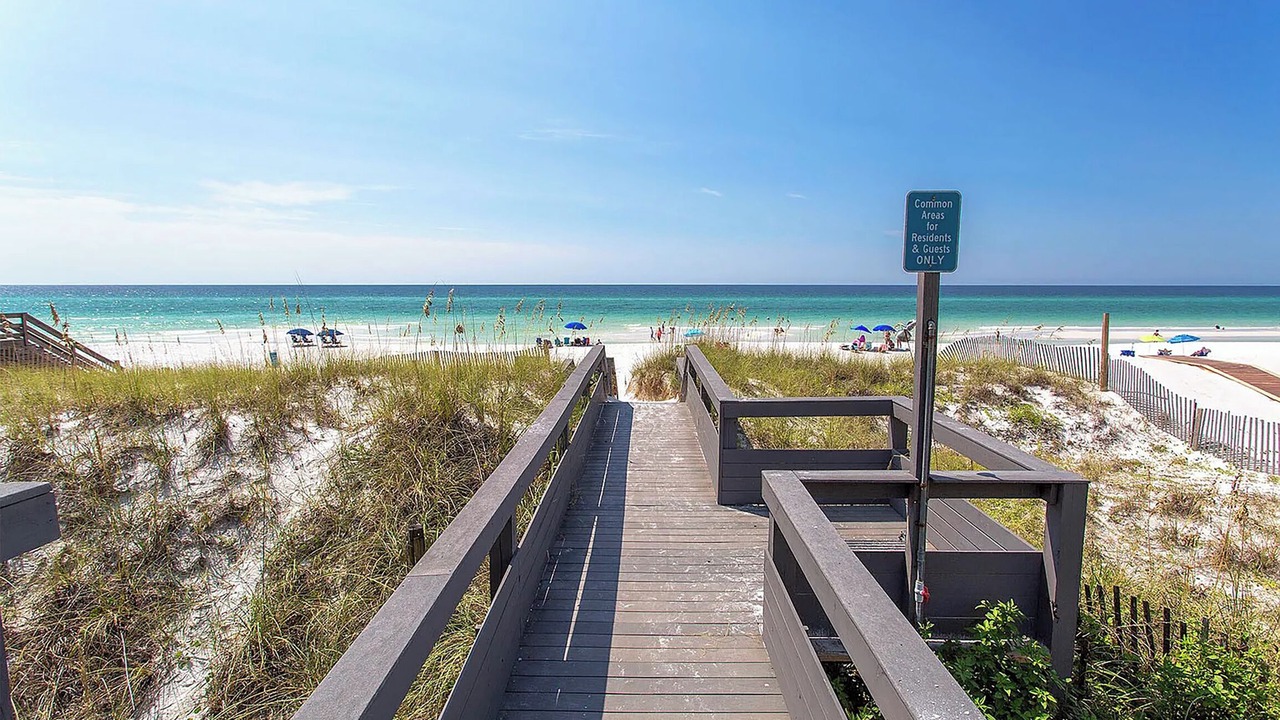 Photo of Others in Gulf Pines
