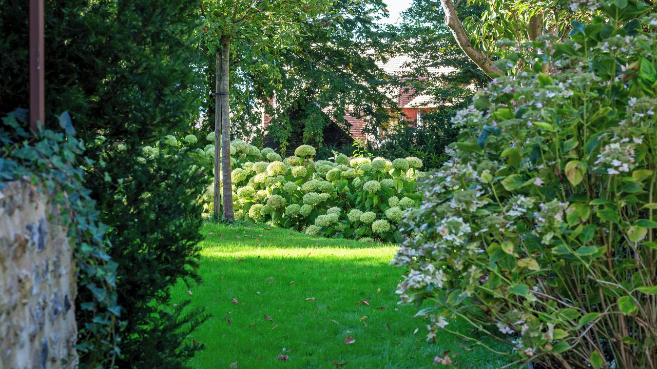 Photo of Outdoor in Honfleur