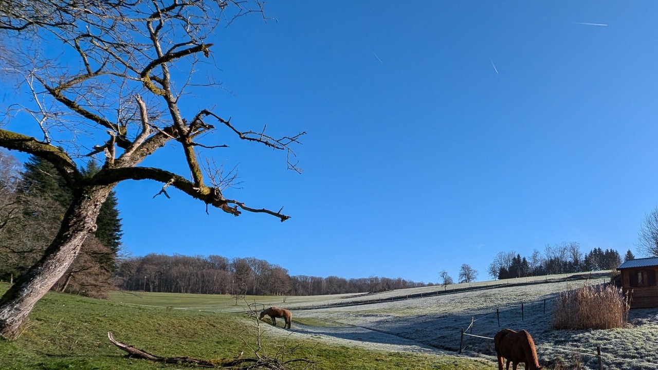 Photo of Others in Fougerolles