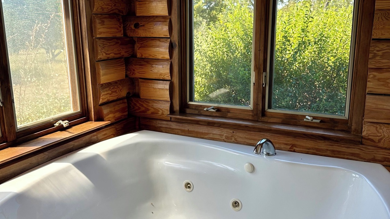 Photo of Bathroom in Nemo
