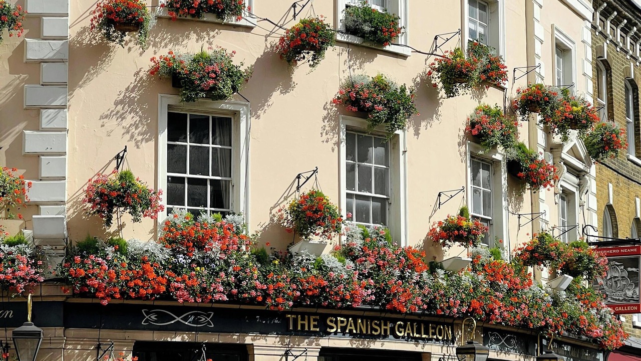 Photo of Others in Charlton