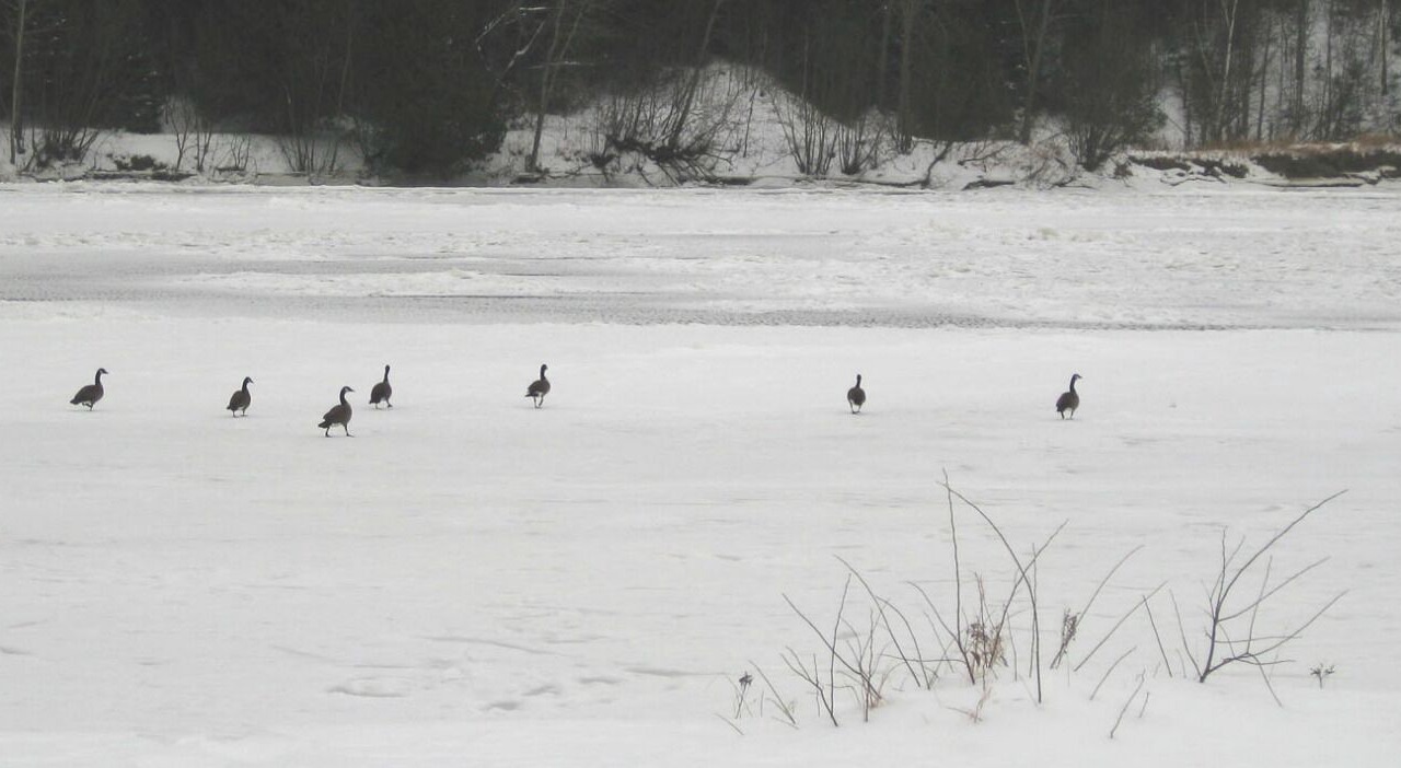 Photo of Others in Brebeuf