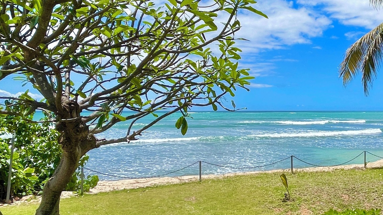 Photo of Others in Ewa