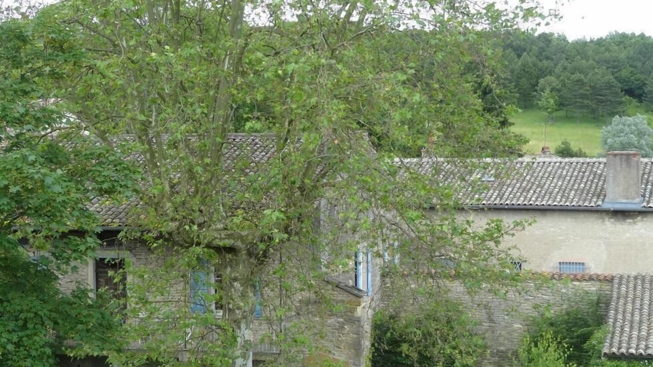 Photo of Outdoor in Plottes