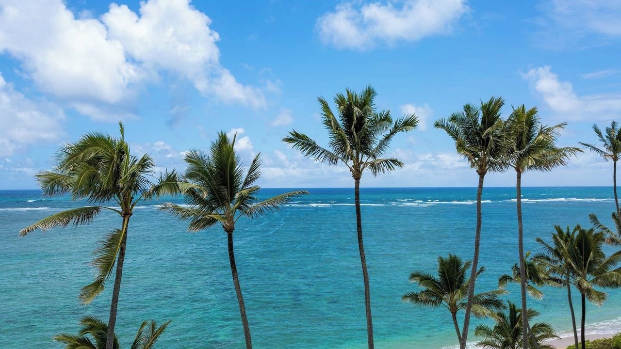 Photo of Others in Punaluu