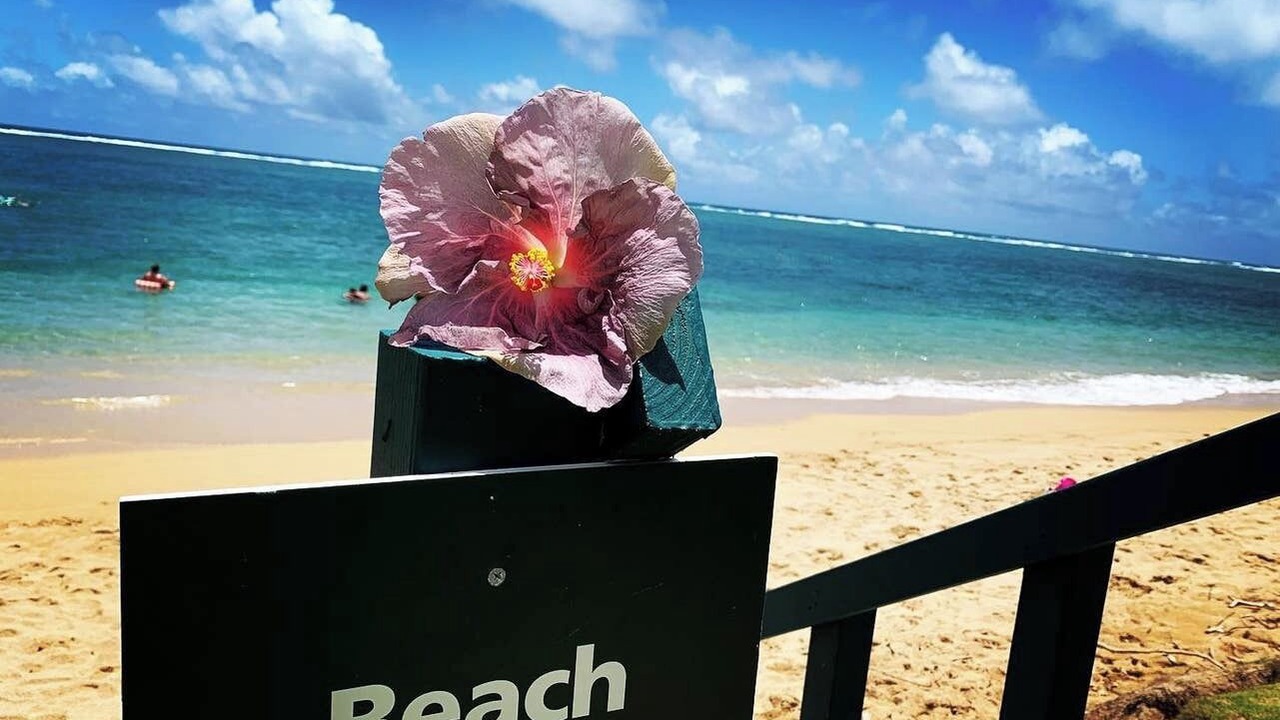 Photo of Others in Punaluu