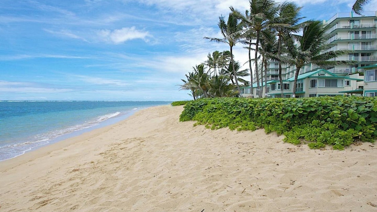 Photo of Others in Punaluu