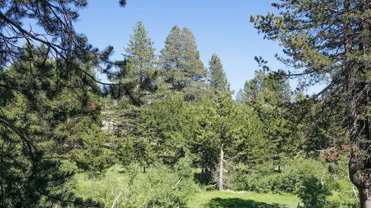 Photo of Others in Bear Valley