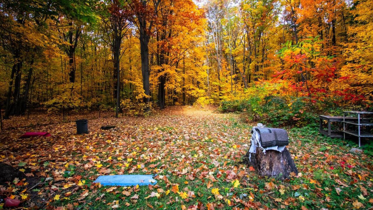 Photo of Outdoor in Midland