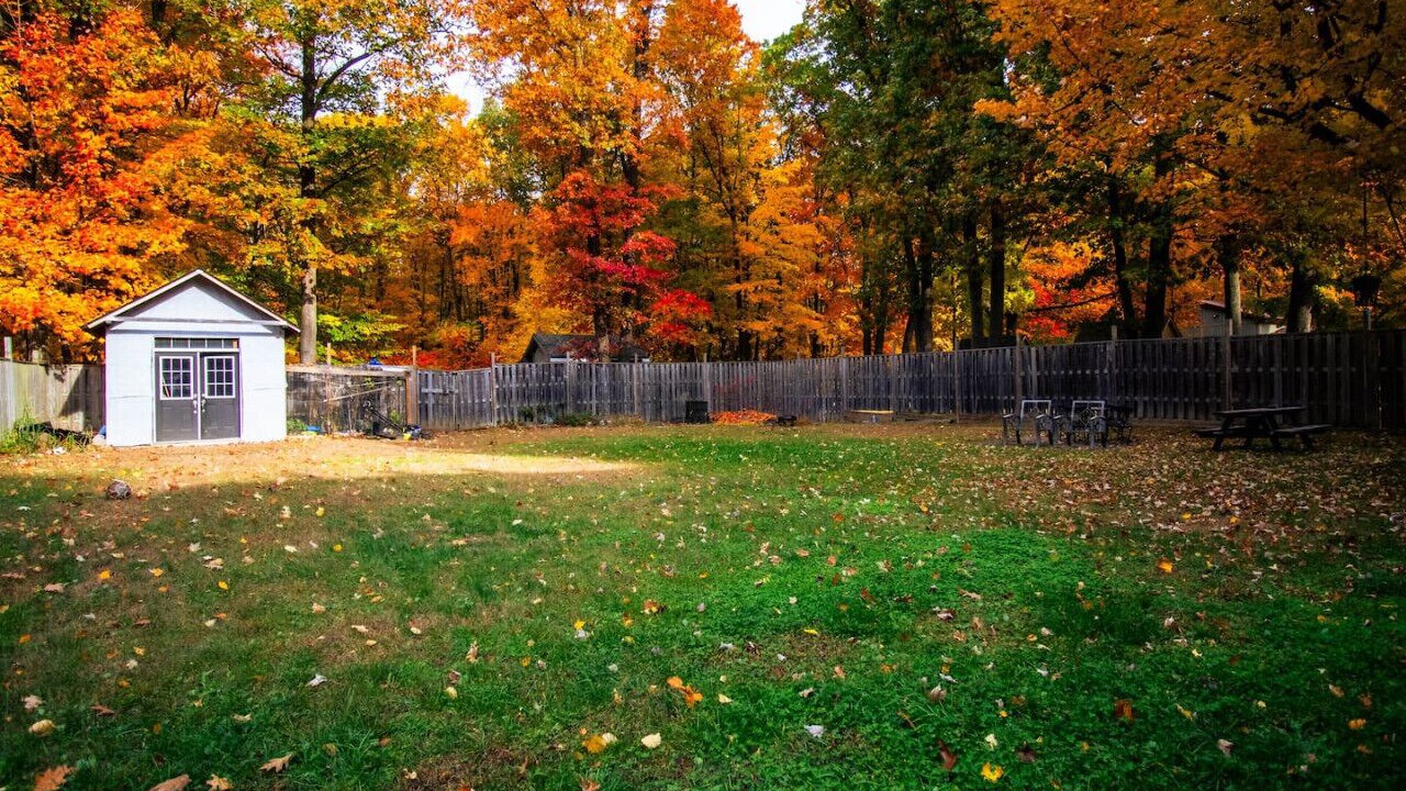 Photo of Outdoor in Midland
