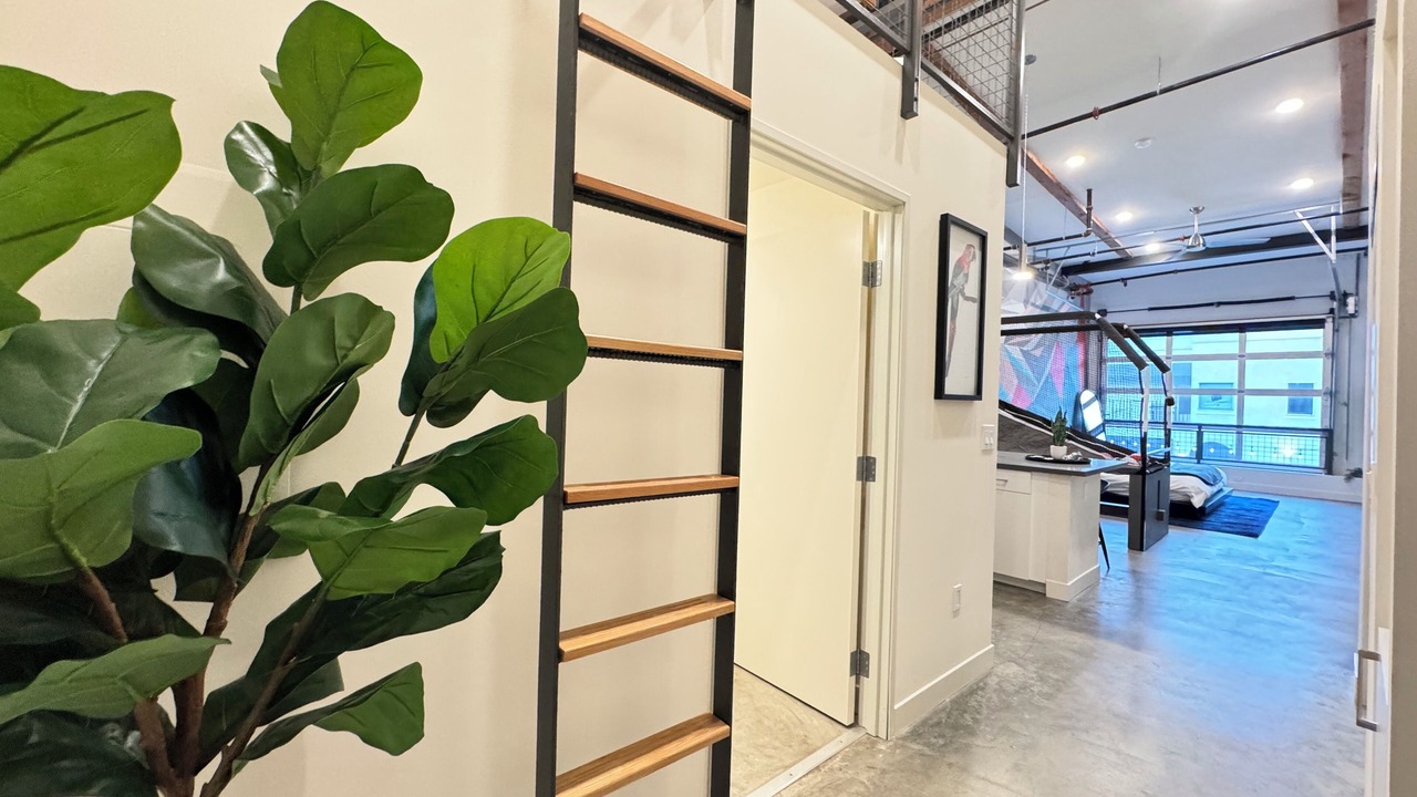 Photo of Others in Lacy