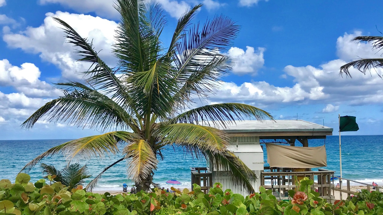 Photo of Outdoor in Boynton Beach