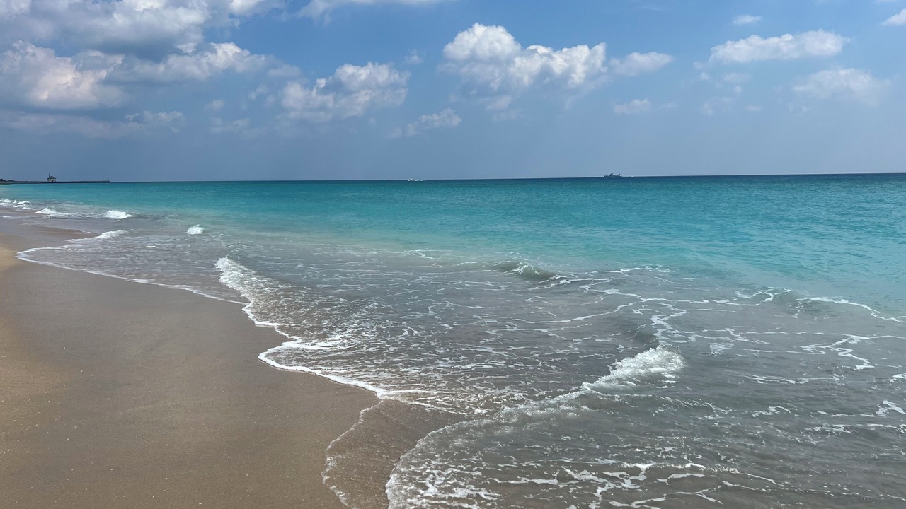 Photo of Others in Boynton Beach
