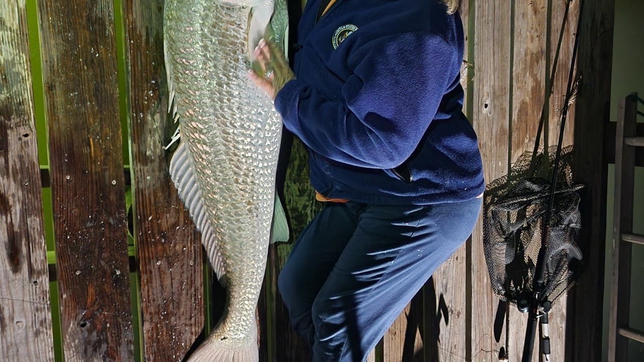 Photo of Others in Kleberg County