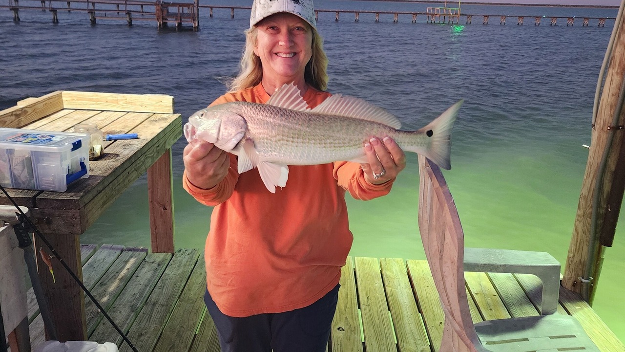 Photo of Others in Kleberg County