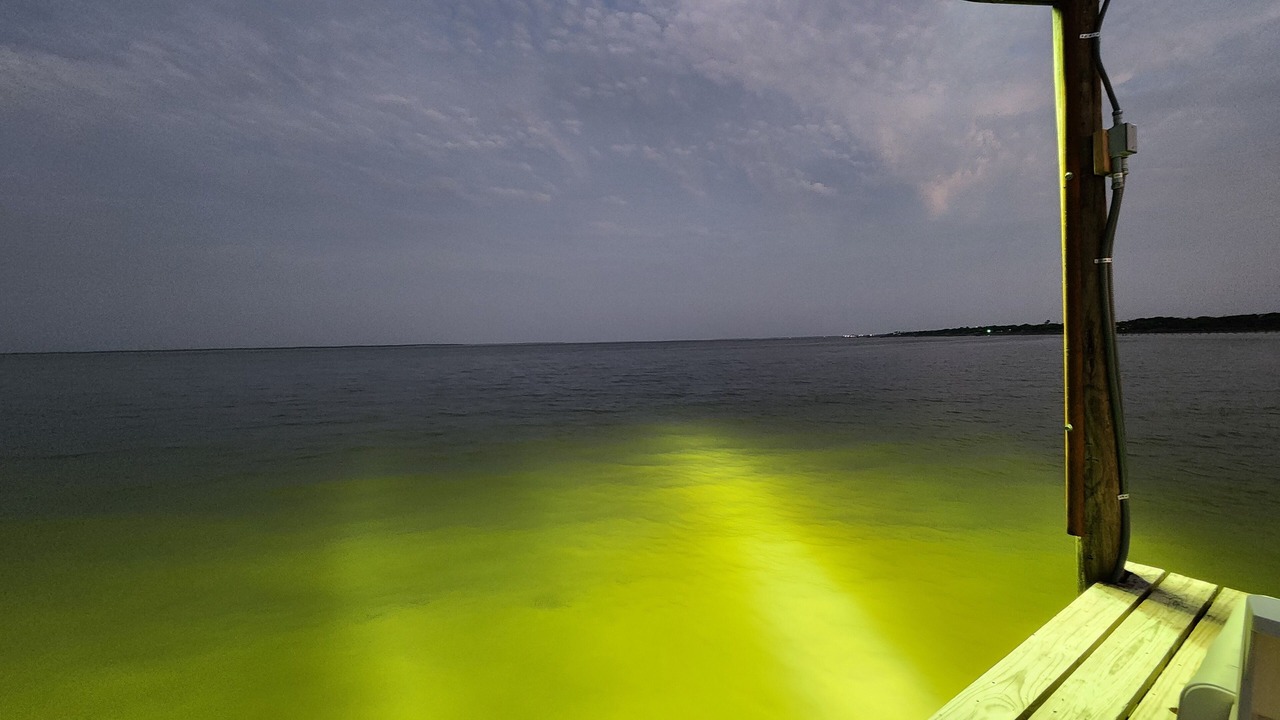 Photo of Others in Kleberg County