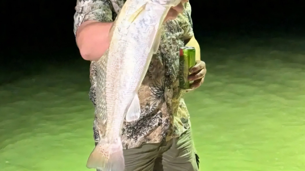 Photo of Others in Kleberg County