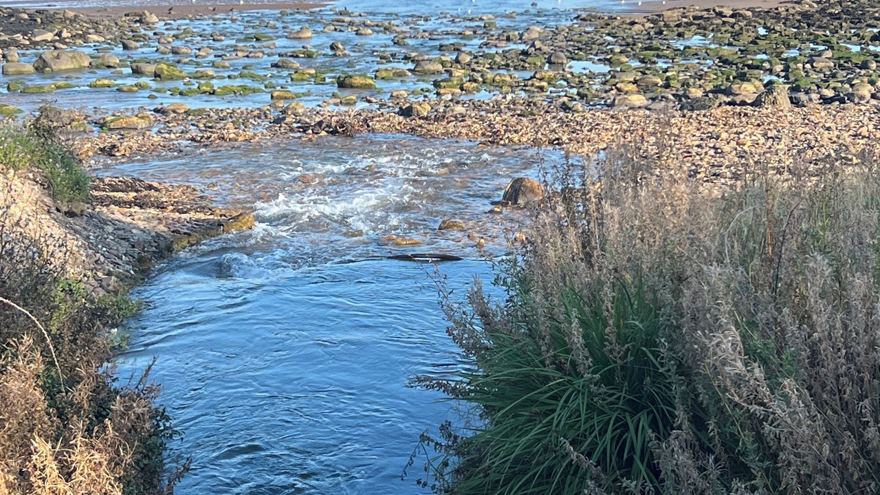 Photo of Others in Prestonpans