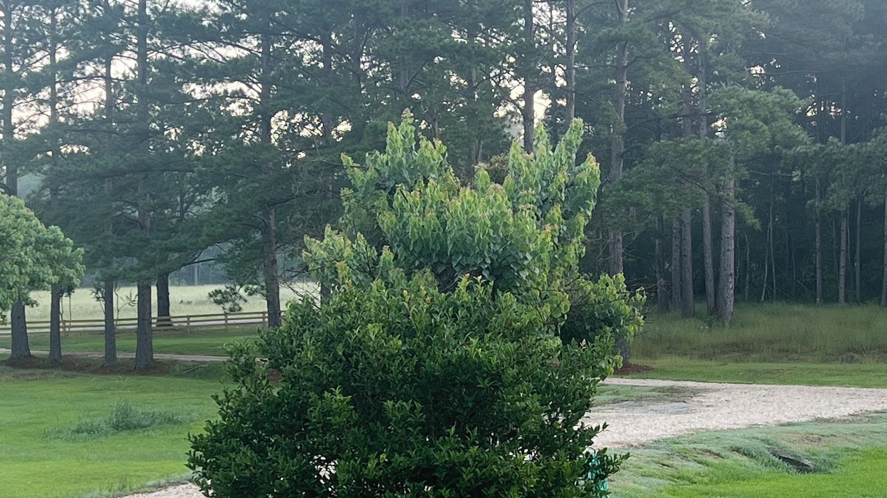 Photo of Outdoor in Eastabuchie