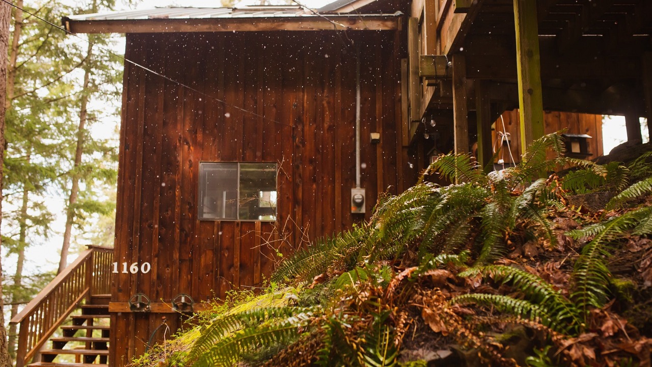 Photo of Outdoor in Lummi Island