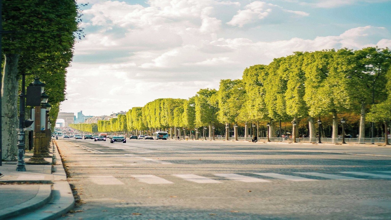Photo of Others in Quartier de la Plaine-de-Monceaux