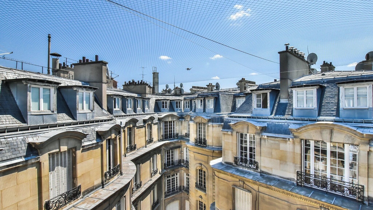 Photo of Others in Chaillot