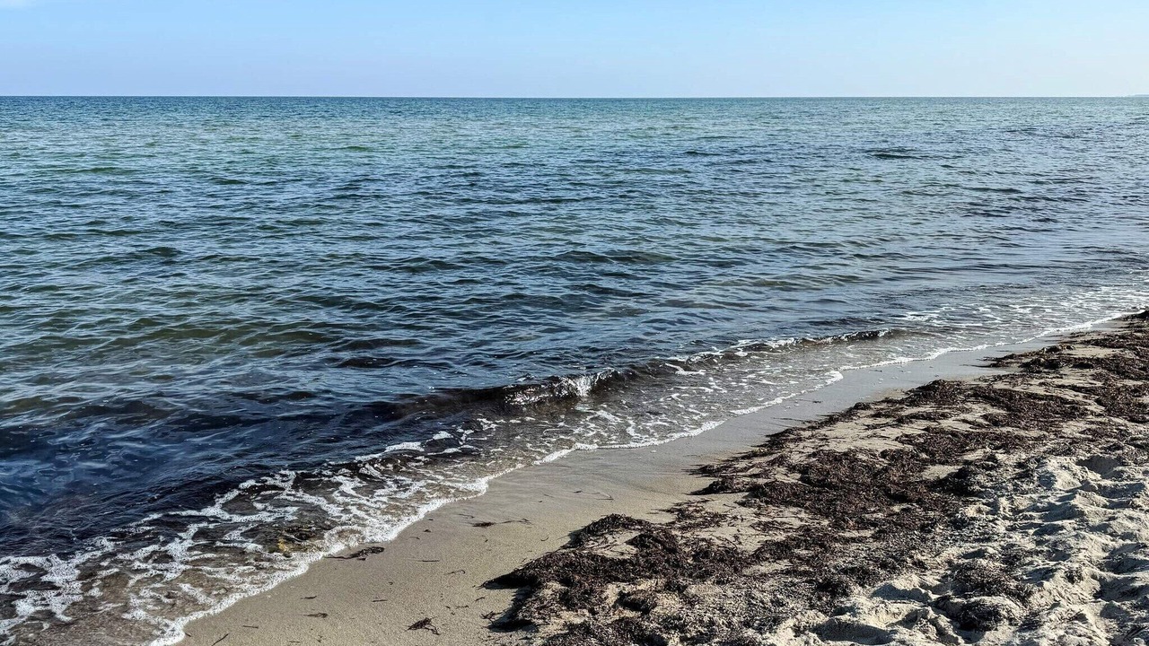 Photo of Others in Idestrup