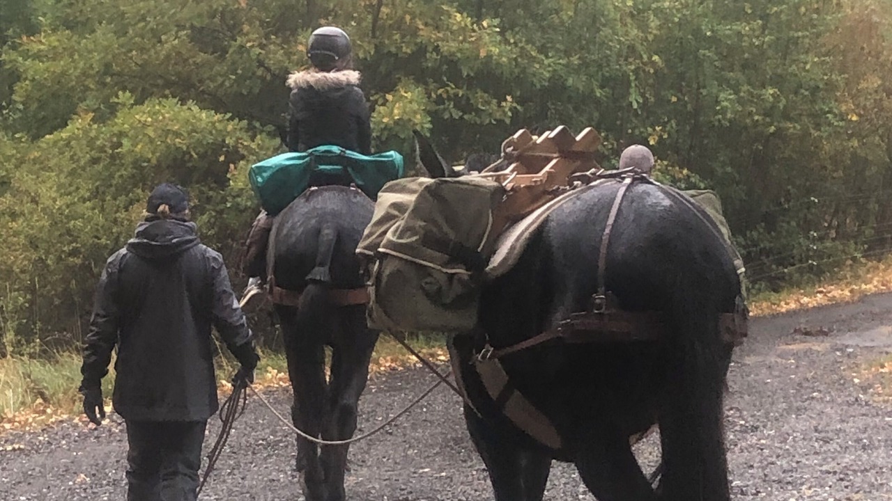 Photo of Others in Quirbajou