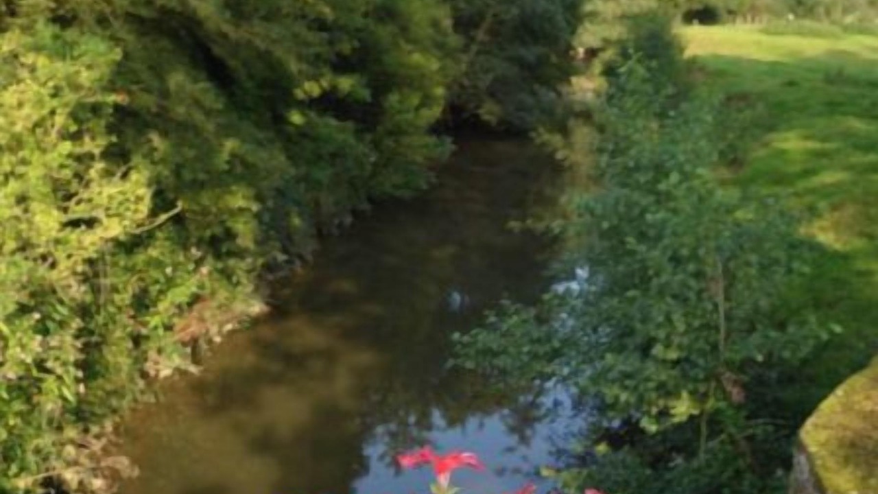 Photo of Others in Cremarest