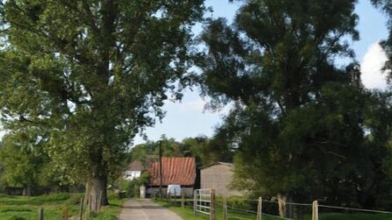 Photo of Others in Cremarest