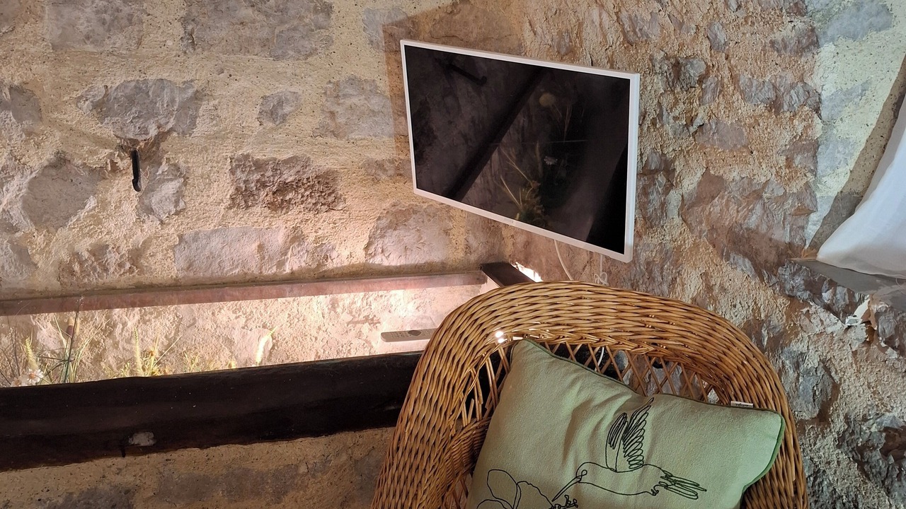 Photo of Others in Saint Alban Auriolles