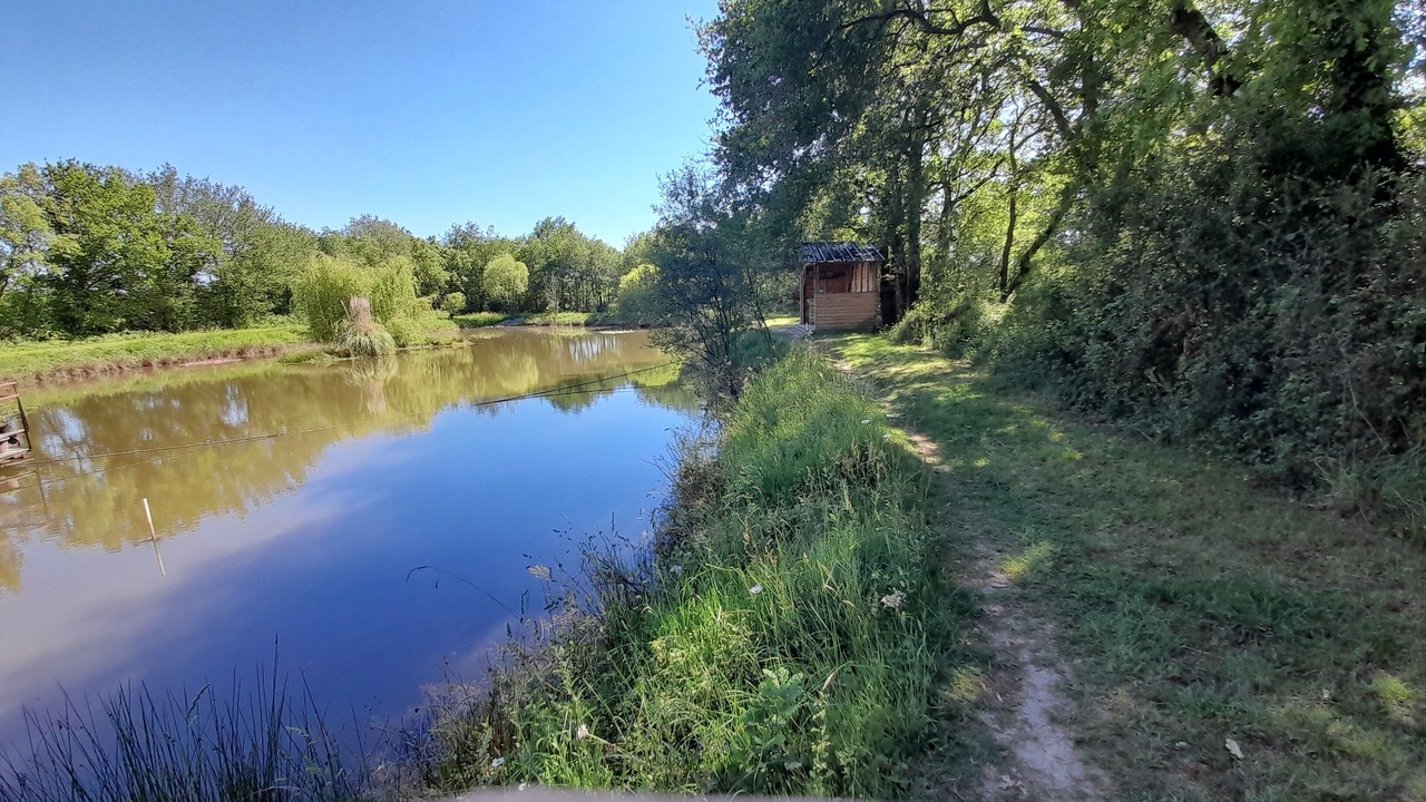 Photo of Others in Saint-Martin-du-Fouilloux