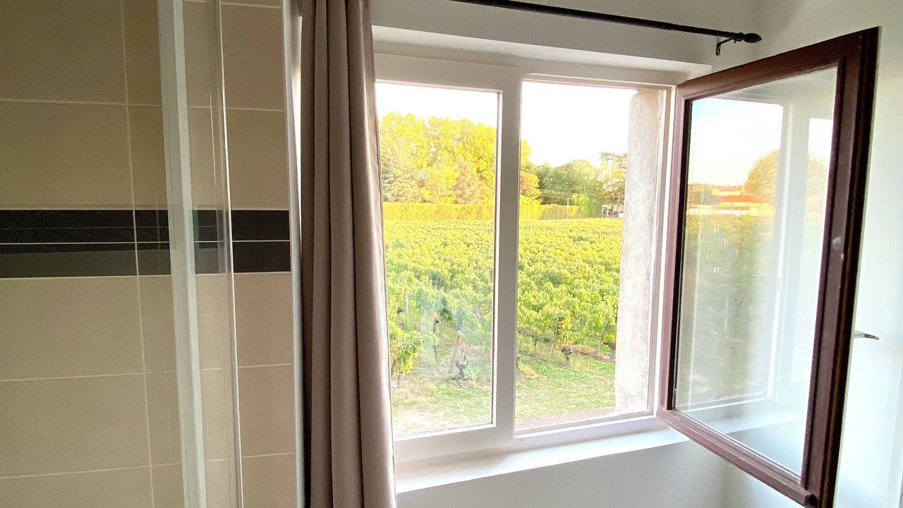 Photo of Others in Libourne