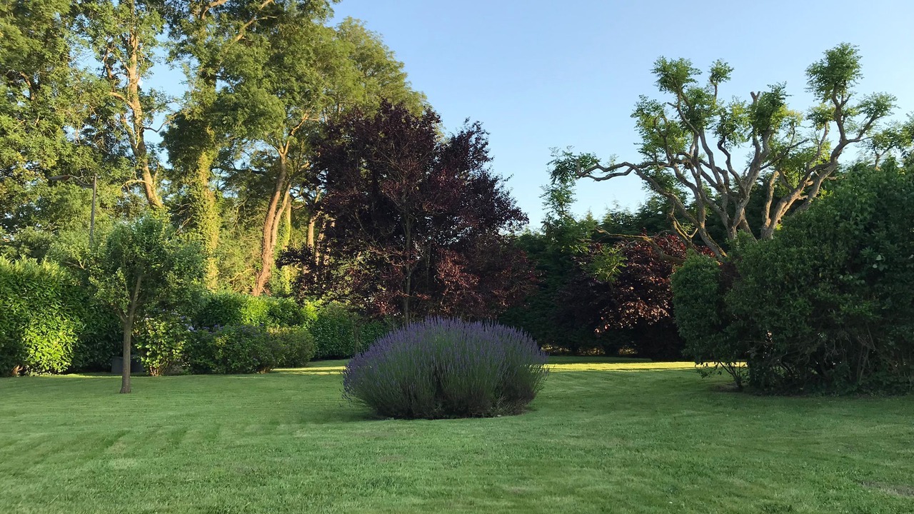 Photo of Outdoor in Saint-Riquier-es-Plains