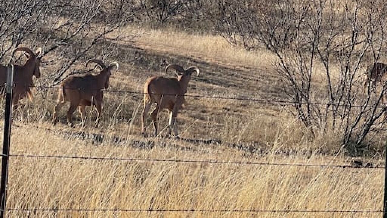 Photo of Others in Canyon