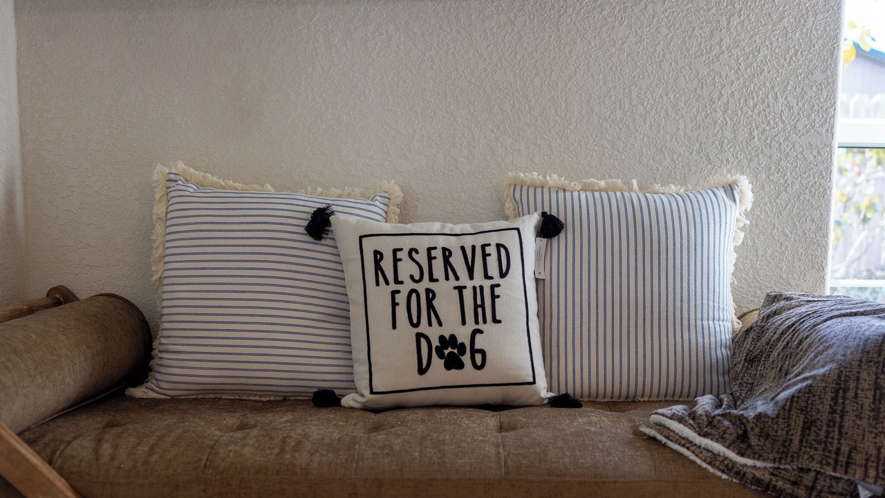 Photo of Others in Barview