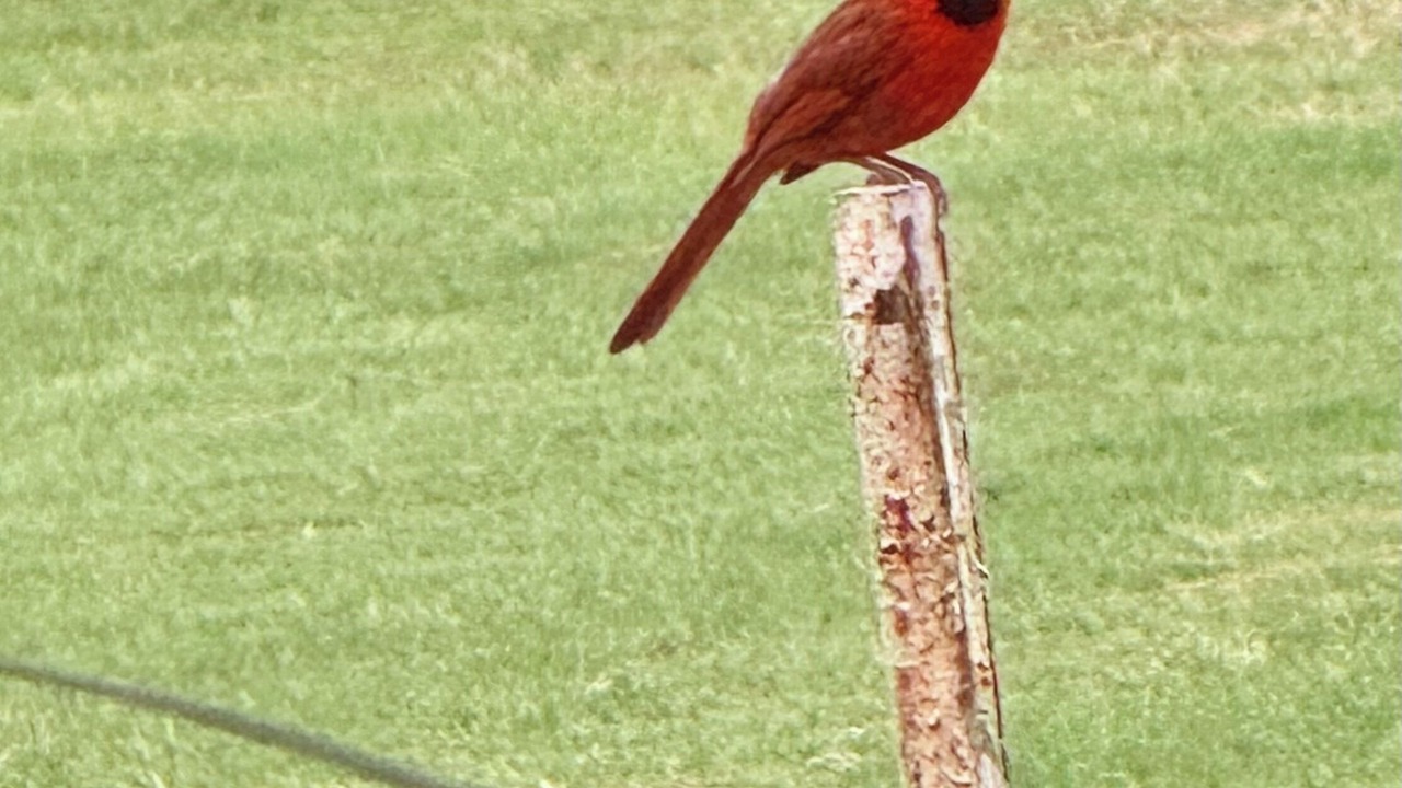 Photo of Others in Daphne