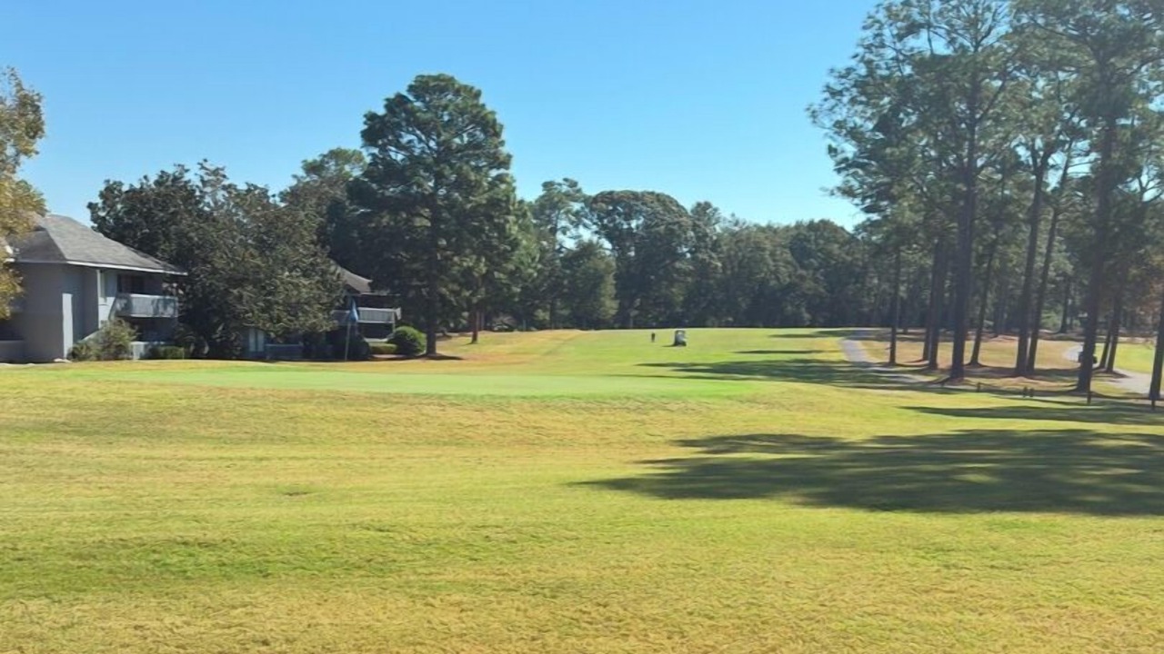 Photo of Others in Daphne
